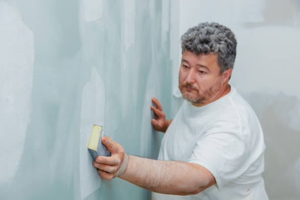 Best Mold Remediation for Vacation Homes  in Ellsworth, ME